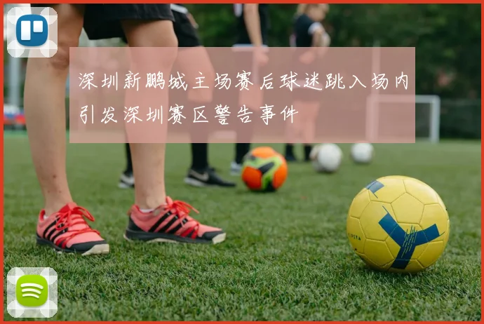 深圳新鹏城主场赛后球迷跳入场内引发深圳赛区警告事件
